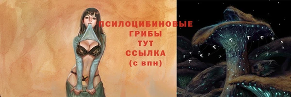 а пвп мука Каменка